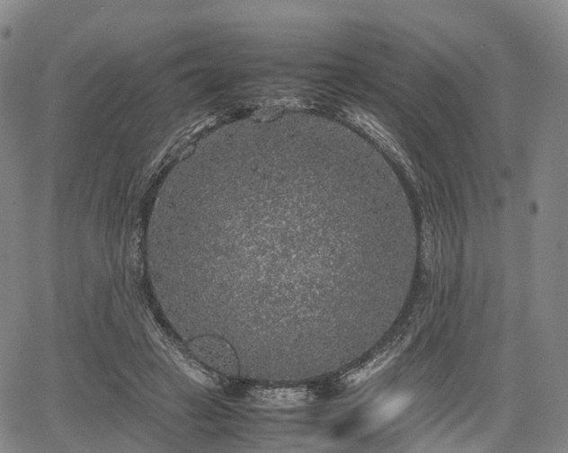 X0000067500449200604101235