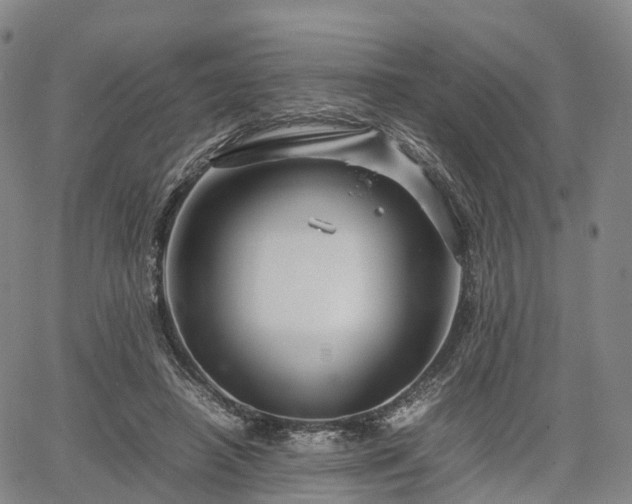 X0000067500450200604101235