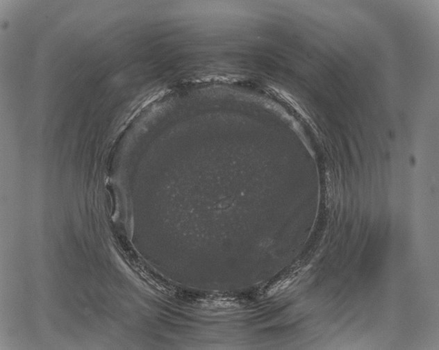 X0000067500451200604101235