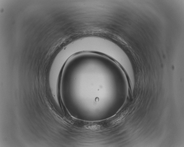 X0000067500452200604101235