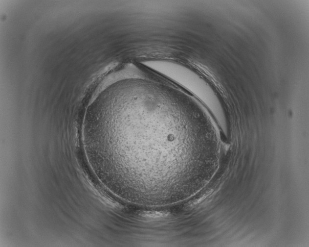 X0000067500453200604101235