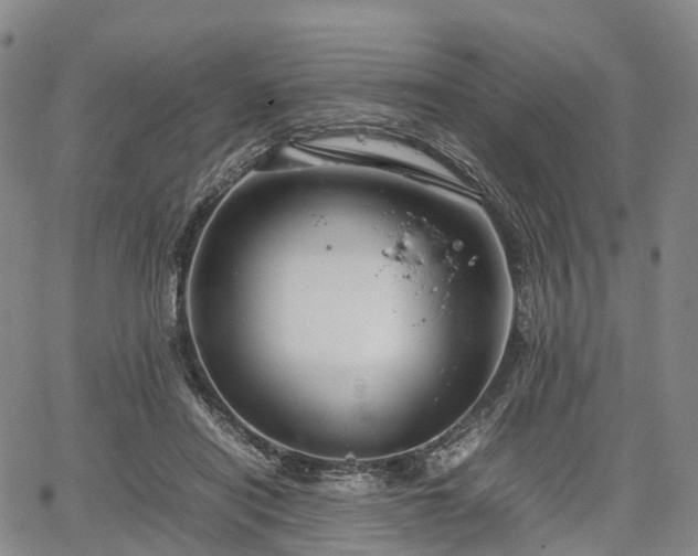 X0000067500454200604101235