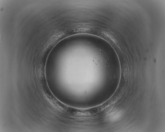 X0000067500455200604101235