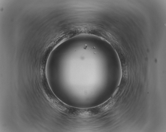 X0000067500456200604101235