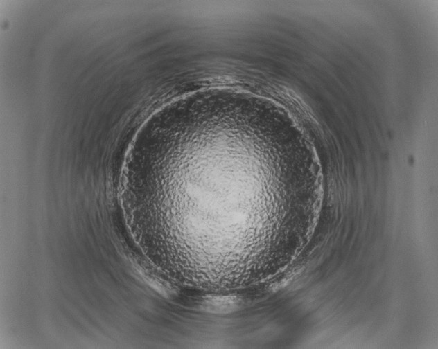 X0000067500457200604101235