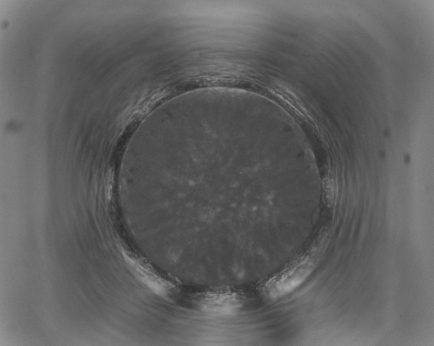 X0000067500458200604101235