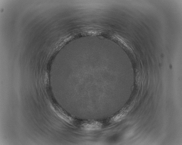 X0000067500459200604101235