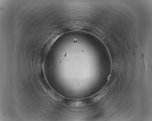 X0000067500460200604101235