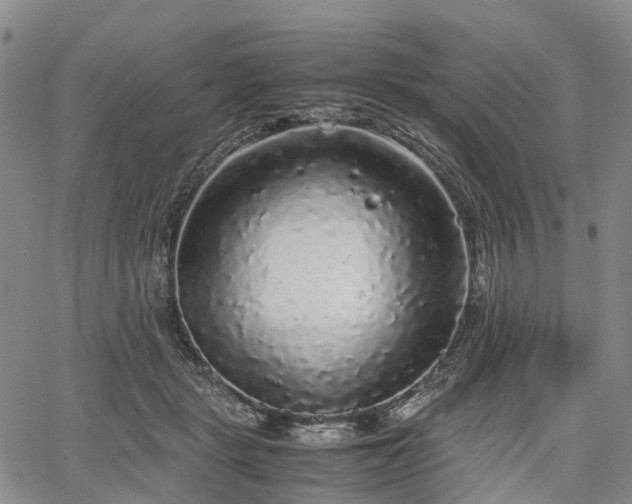 X0000067500461200604101235