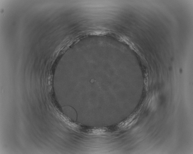 X0000067500462200604101235