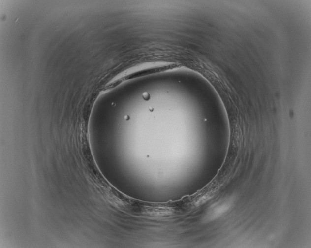 X0000067500463200604101235