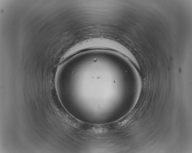 X0000067500464200604101235