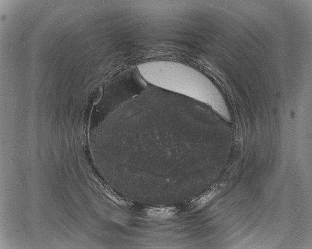 X0000067500465200604101235