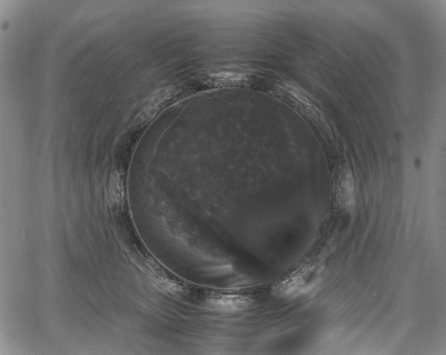 X0000067500467200604101235