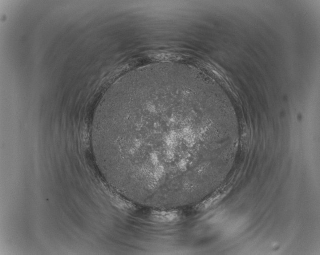 X0000067500469200604101235