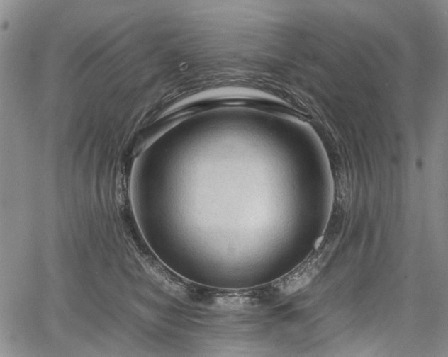 X0000067500470200604101235