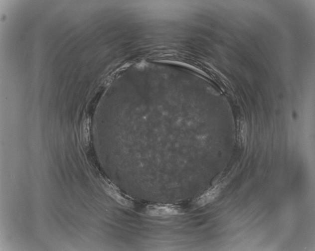 X0000067500475200604101235