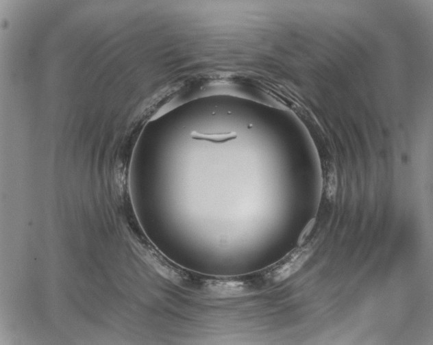 X0000067500476200604101235