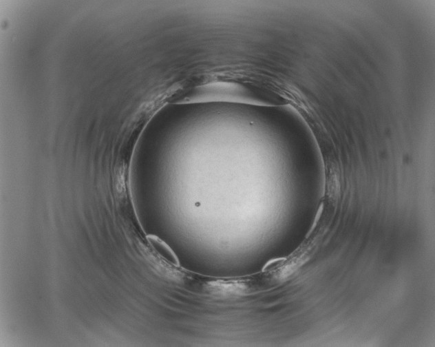 X0000067500477200604101235