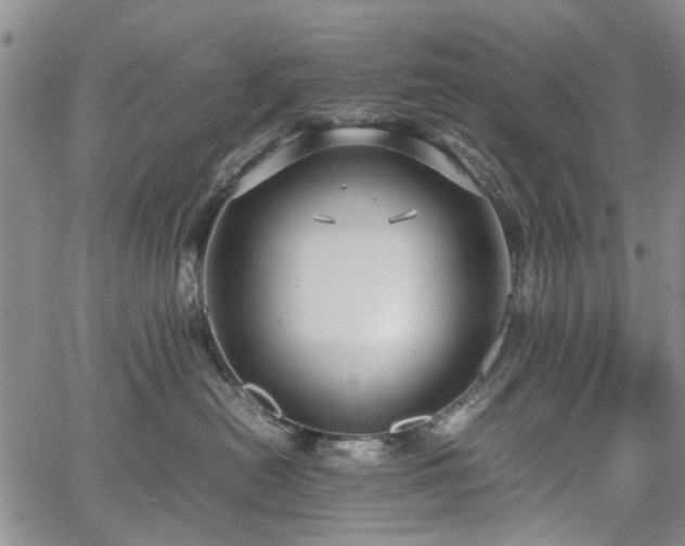 X0000067500478200604101235