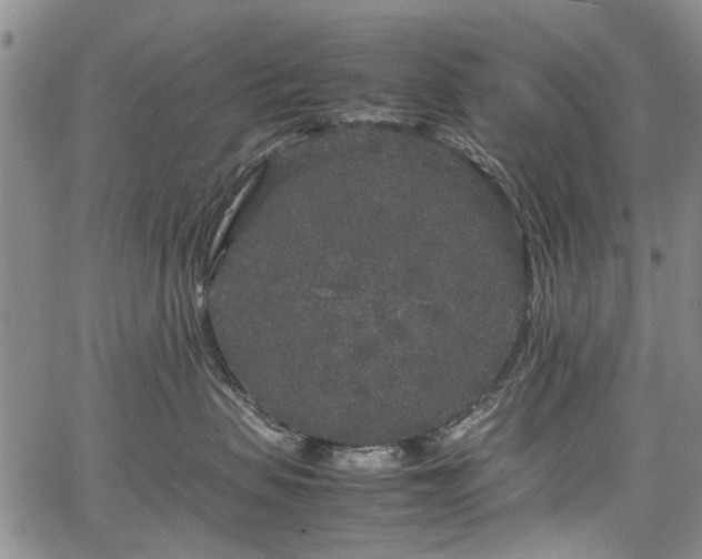 X0000067500479200604101235