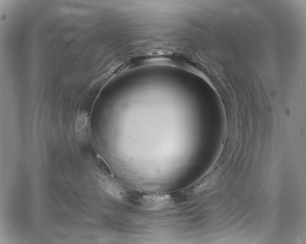 X0000067500480200604101235