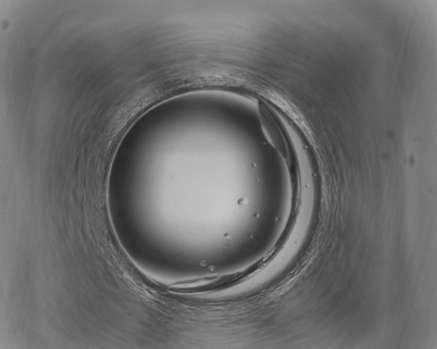 X0000067500481200604101234