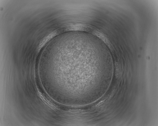 X0000067500482200604101234