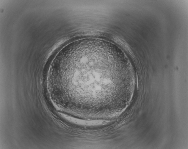 X0000067500483200604101234