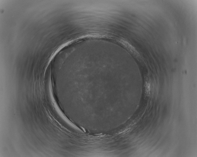 X0000067500484200604101234