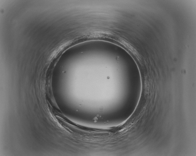 X0000067500485200604101234