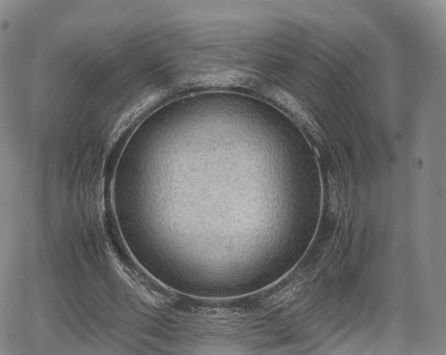 X0000067500486200604101234