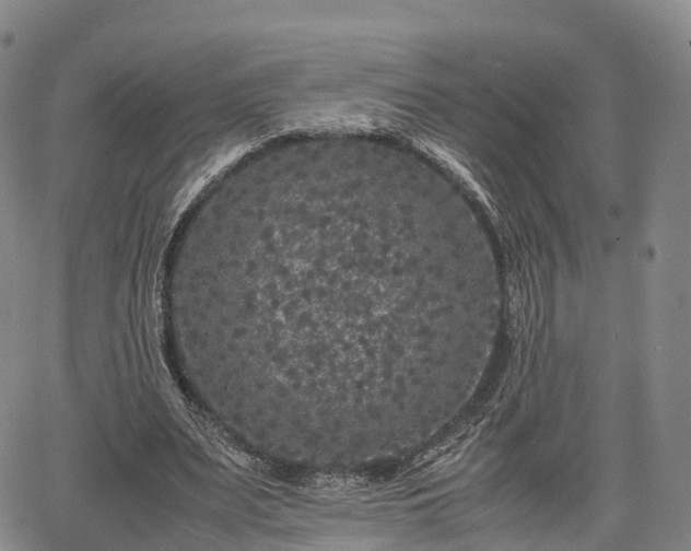 X0000067500487200604101234