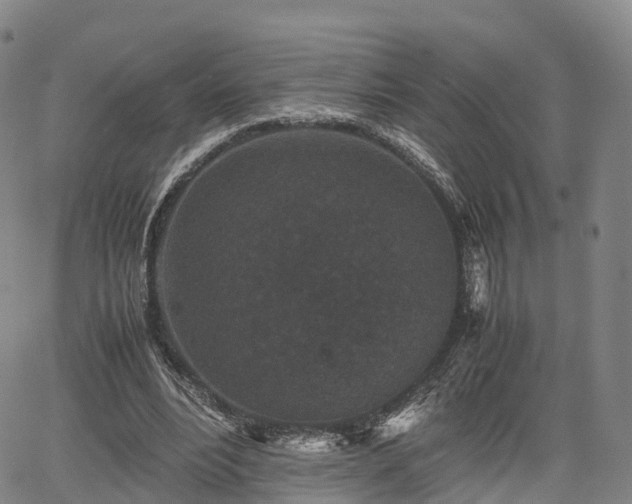 X0000067500488200604101234