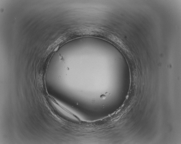 X0000067500489200604101234