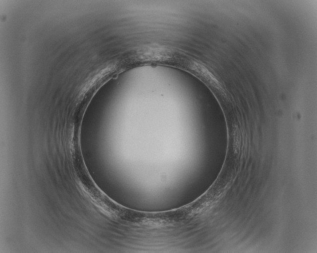 X0000067500490200604101234