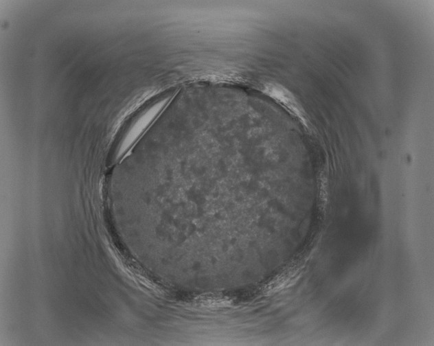 X0000067500491200604101234