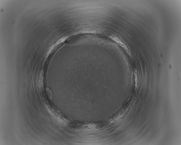 X0000067500492200604101234