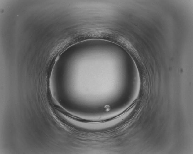 X0000067500493200604101234