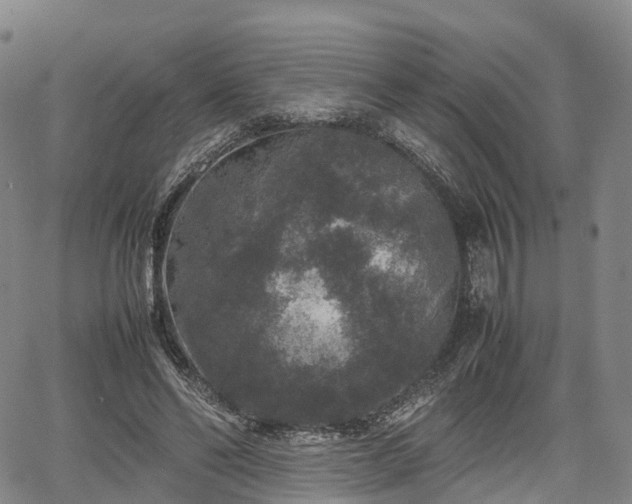 X0000067500494200604101234