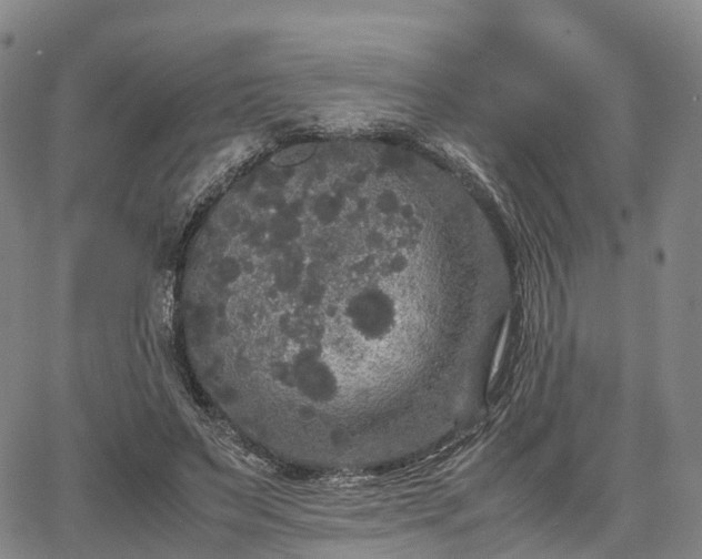 X0000067500495200604101234