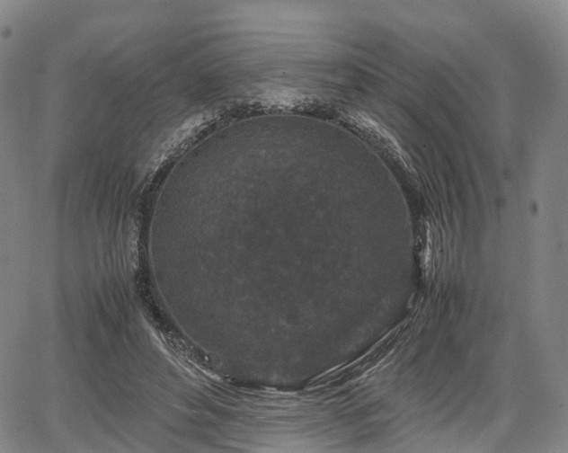 X0000067500496200604101234