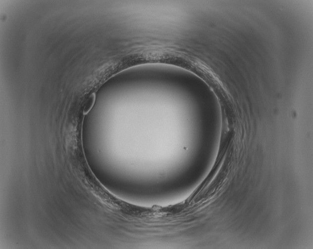 X0000067500497200604101234