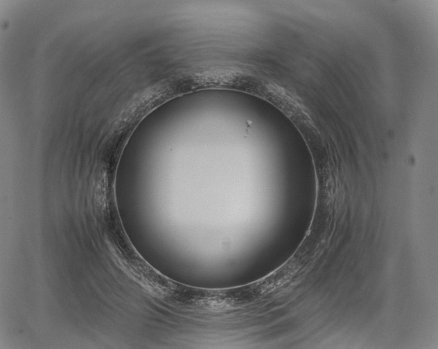 X0000067500498200604101234