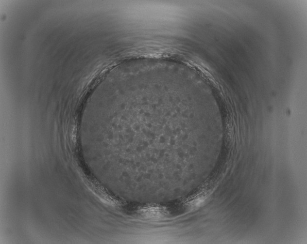 X0000067500499200604101234