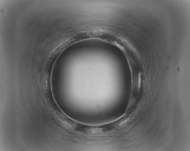 X0000067500501200604101234