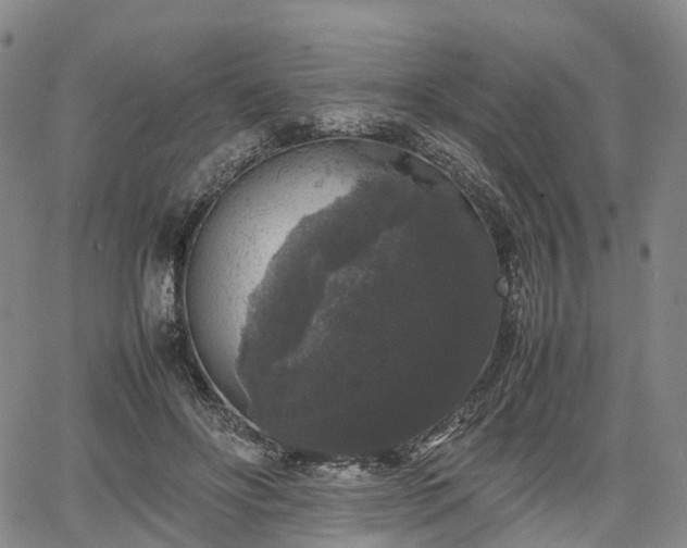 X0000067500502200604101234