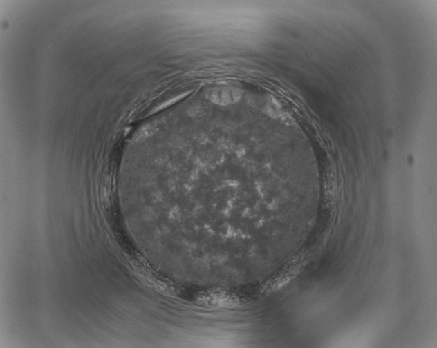 X0000067500503200604101234