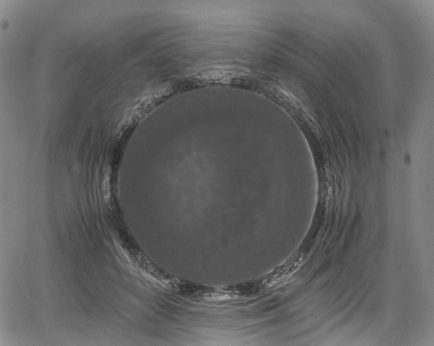 X0000067500504200604101234