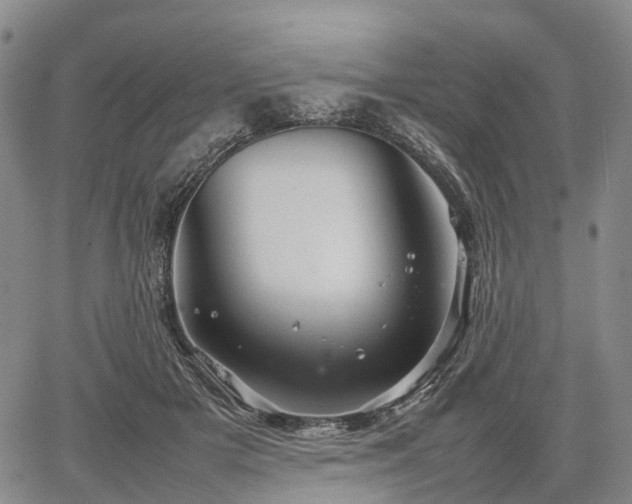 X0000067500505200604101234